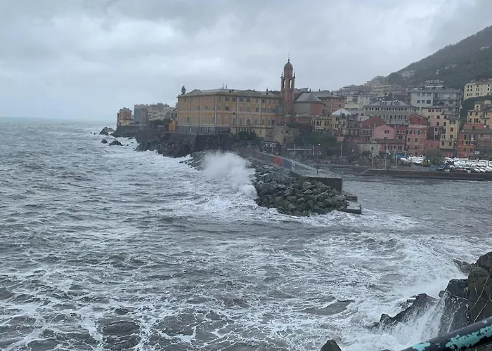 Artista - 10 Min Stazione *