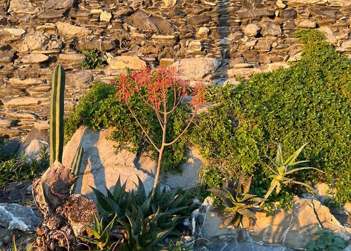 Artista - 10 Min Stazione